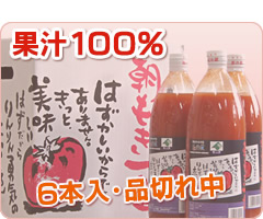 �g�}�g�W���[�X1000m�@6�{��