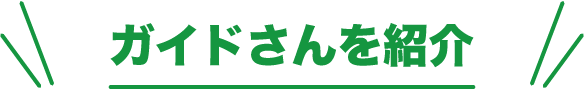 ガイドさんを紹介